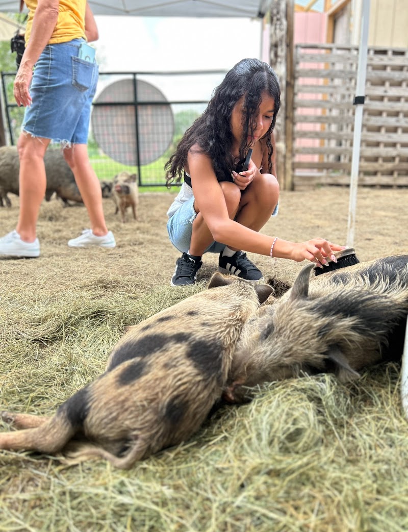 Joy of Pigs Co. | PORCINE ®
