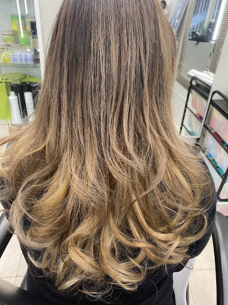 Hair Extensions By Araceli